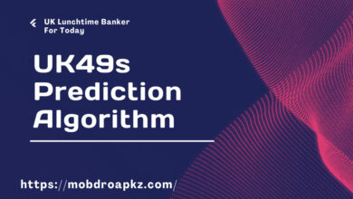 UK49s Prediction Algorithm